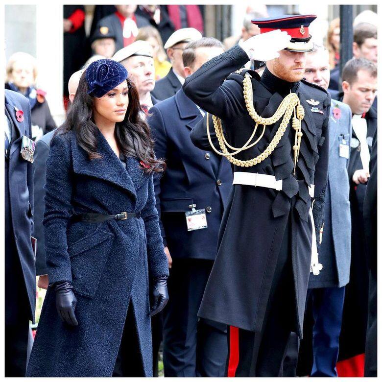 加上他們早前被發現私下為「Royal Sussex」的名義註冊,當中包括鉛筆、襪子、手套等 加上他們早前被發現私下為「Royal Sussex」的名義註冊,當中包括鉛筆、襪子、手套等