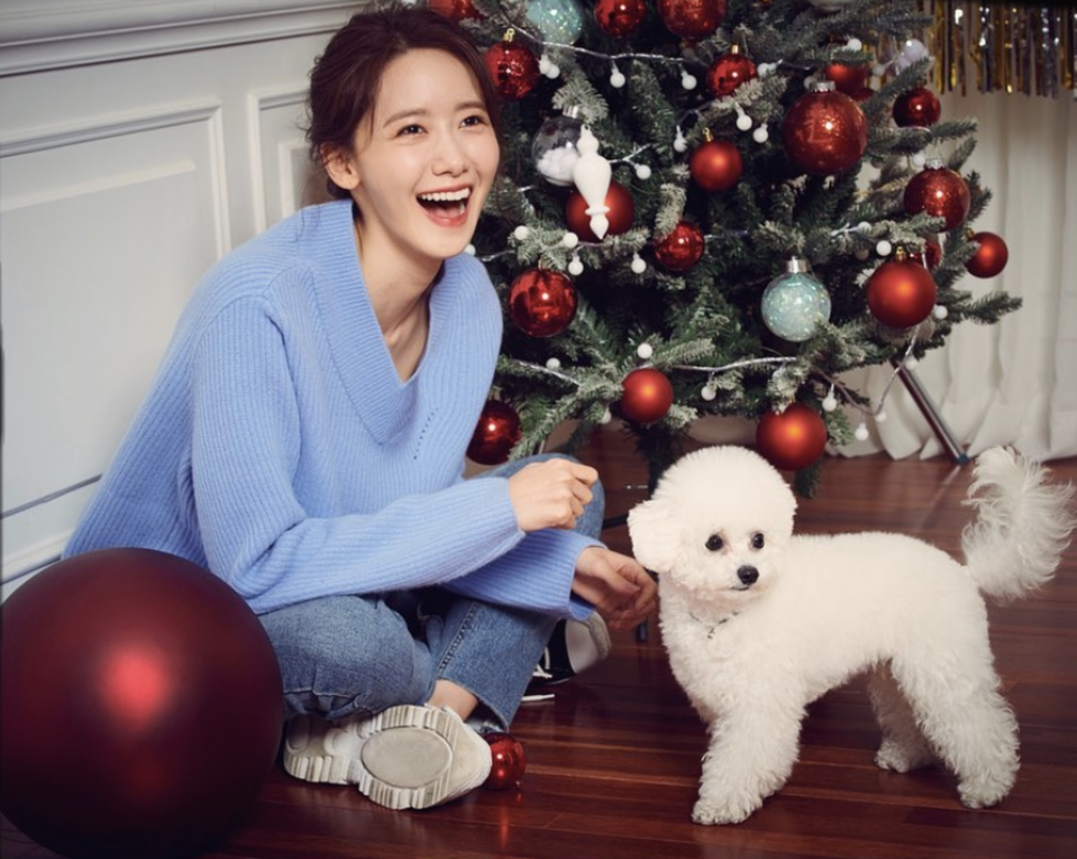 K-Pop流行全亞洲,能夠成為偶像當然豬籠入水,不過成名前的確苦不堪言 K-Pop流行全亞洲,能夠成為偶像當然豬籠入水,不過成名前的確苦不堪言