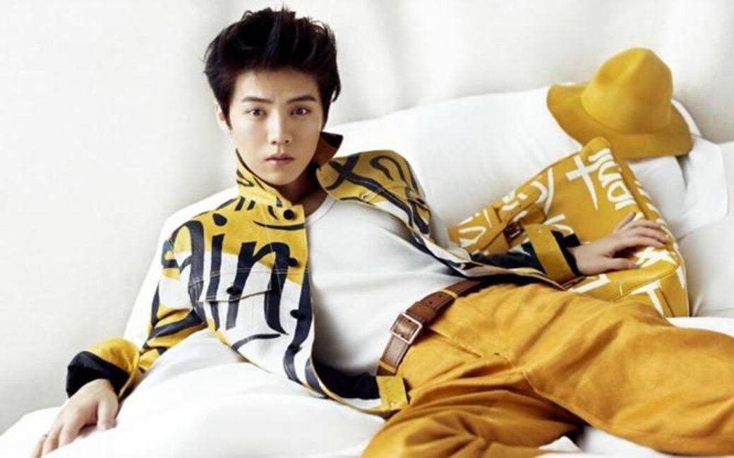 鹿晗為《ELLE》拍攝的封面照片 鹿晗為《ELLE》拍攝的封面照片