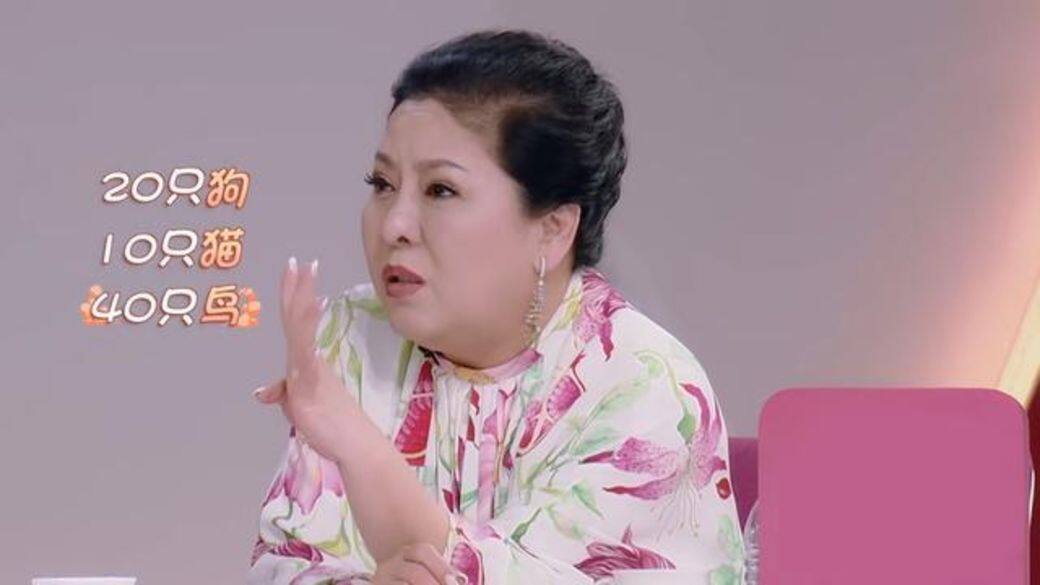 為了化解兩人之間的矛盾,向太竟然霸氣提出要買一塊地給她領養小動物 為了化解兩人之間的矛盾,向太竟然霸氣提出要買一塊地給她領養小動物