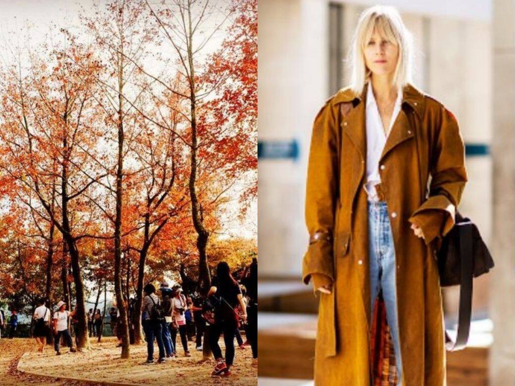 【香港紅葉自由行2020】賞紅葉怎麼穿搭最上鏡?3個本地賞楓打卡景點推薦 【香港紅葉自由行2020】賞紅葉怎麼穿搭最上鏡?3個本地賞楓打卡景點推薦