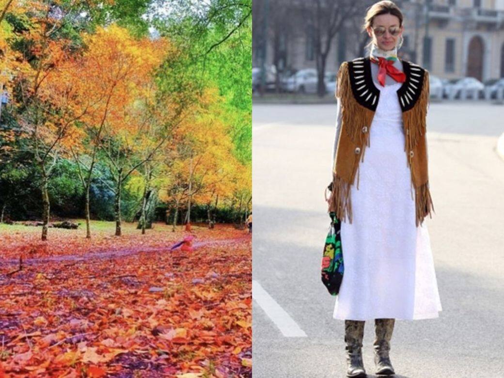 【台北紅葉自由行】3大賞楓文青打卡聖地!「紅葉穿搭」穿出浪漫文藝情懷! 【台北紅葉自由行】3大賞楓文青打卡聖地!「紅葉穿搭」穿出浪漫文藝情懷!