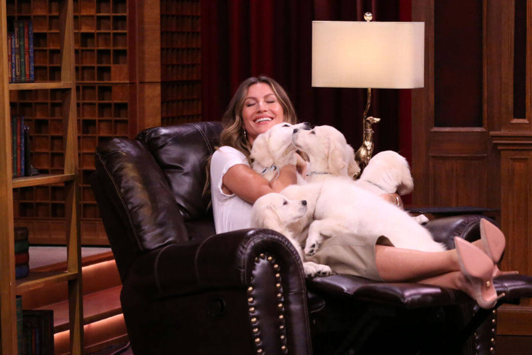 當時,Gisele Bündchen在訪問中表示:「我是世上最愛動物的人,我只是在做我的工作 當時,Gisele Bündchen在訪問中表示:「我是世上最愛動物的人,我只是在做我的工作