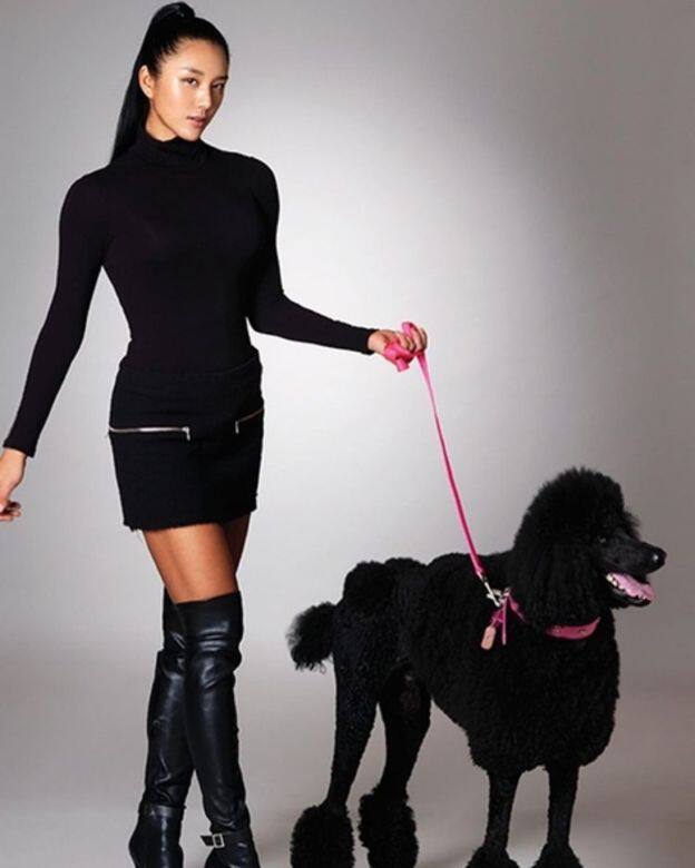 看到這張鄭雅琳與愛犬Hoa的造型照，外貌標緻的她比起健身教練，感覺更