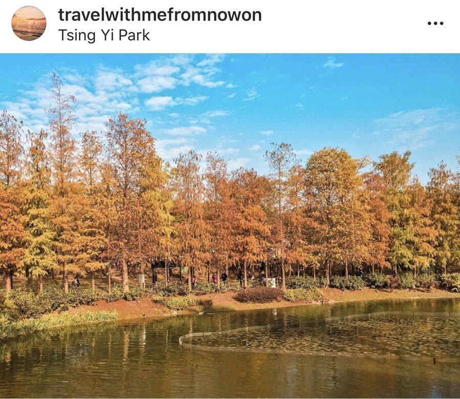 青衣公園 青衣公園