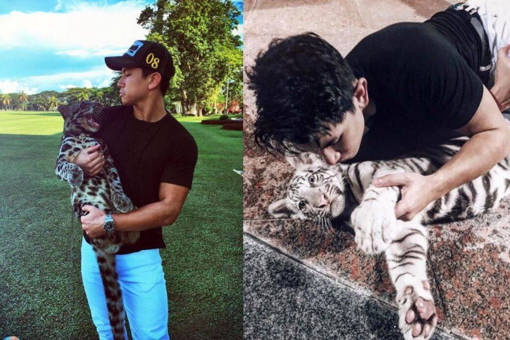 王子擁有幾隻小老虎為寵物,稱自己為「Father of tiger」,經常帶牠們到不同的地方 王子擁有幾隻小老虎為寵物,稱自己為「Father of tiger」,經常帶牠們到不同的地方