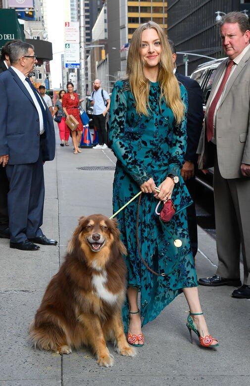 《辣妹過招》的女星Amanda Seyfried帶同小狗Finn一起出席拍攝,洋溢優雅動人的風範。 《辣妹過招》的女星Amanda Seyfried帶同小狗Finn一起出席拍攝,洋溢優雅動人的風範。