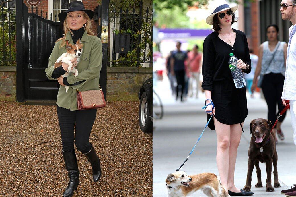 超模Kate Moss與Anne Hathaway的遛狗look 超模Kate Moss與Anne Hathaway的遛狗look