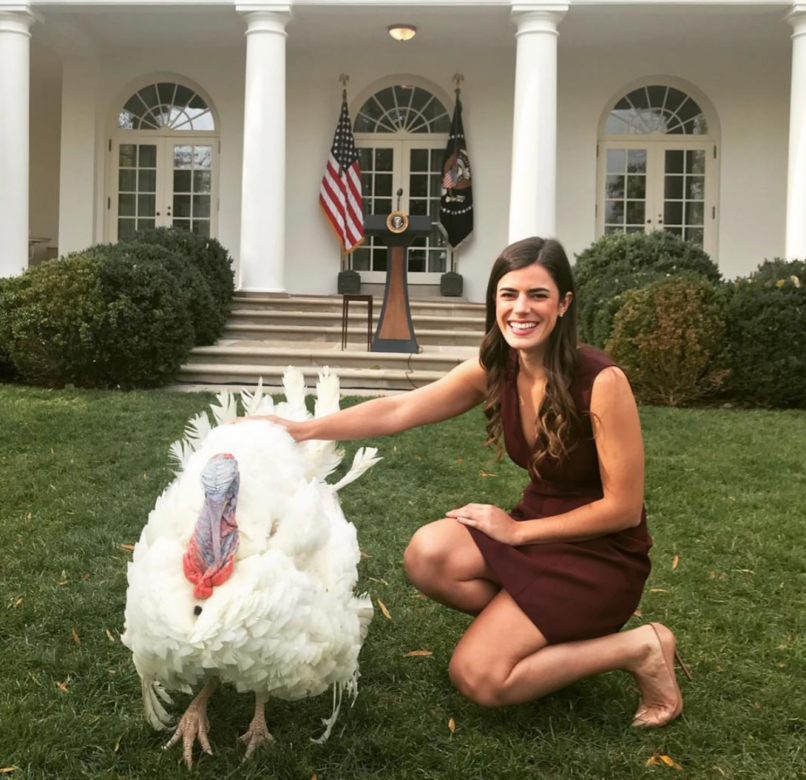在感恩節期間，美國總統特朗普運用他的特赦權力，赦免兩隻火雞免在感