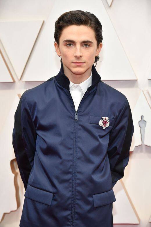 Timothée Chalamet則選上Cartier古董珍藏系列的胸針一同走上紅地毯,胸針由白色黃金 Timothée Chalamet則選上Cartier古董珍藏系列的胸針一同走上紅地毯,胸針由白色黃金
