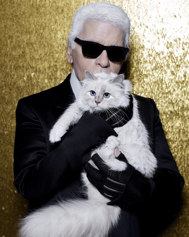 在 Françoise 的精心照顧下,Choupette 的起居還是令人羨慕。如果你還不知道,Karl 在世時 在 Françoise 的精心照顧下,Choupette 的起居還是令人羨慕。如果你還不知道,Karl 在世時