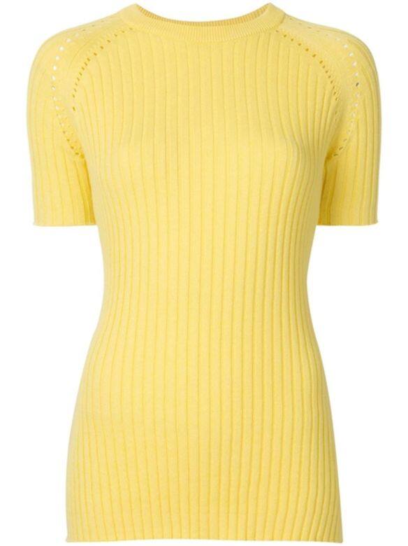 具彈性的冷衫能緊貼身型，突顯身體美態。 Anna Quan黃色短袖冷衫 $812 @ farfetch.com