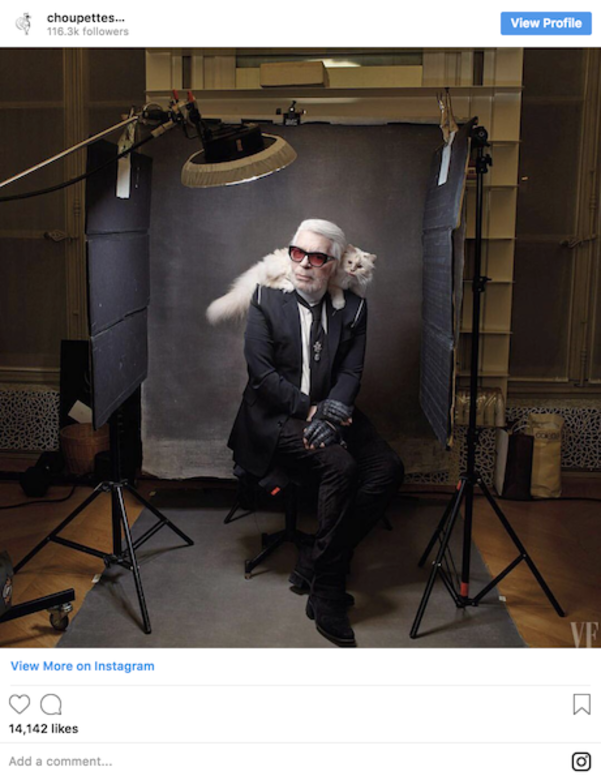 忙着跟Choupette玩的Karl Lagerfeld 忙着跟Choupette玩的Karl Lagerfeld