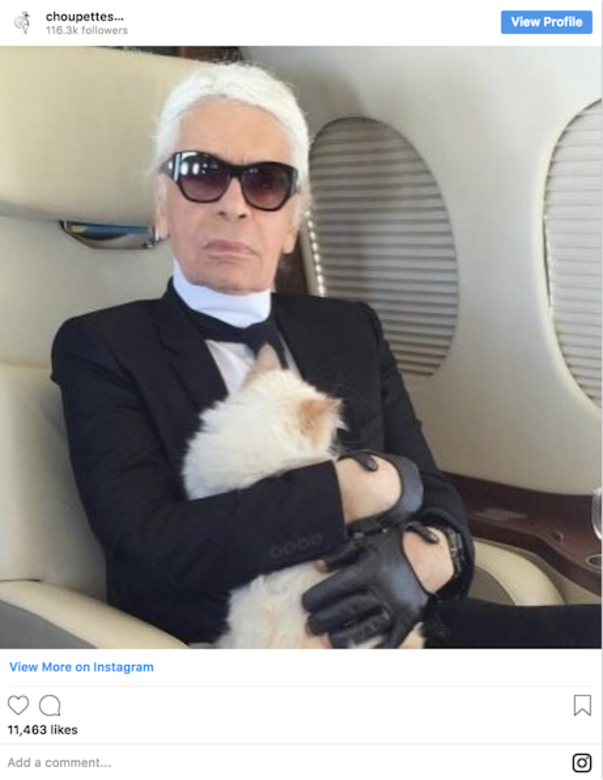 不過提到他的愛貓Choupette是否也會隨著他一起旅行時,他則開心的說:「Choupette不管 不過提到他的愛貓Choupette是否也會隨著他一起旅行時,他則開心的說:「Choupette不管