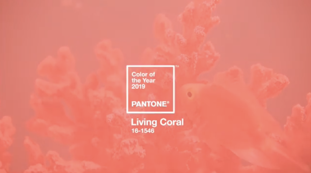 19年pantone代表色living Coral登場 立即學充滿正能量的10種配色穿搭法 Elle Hk