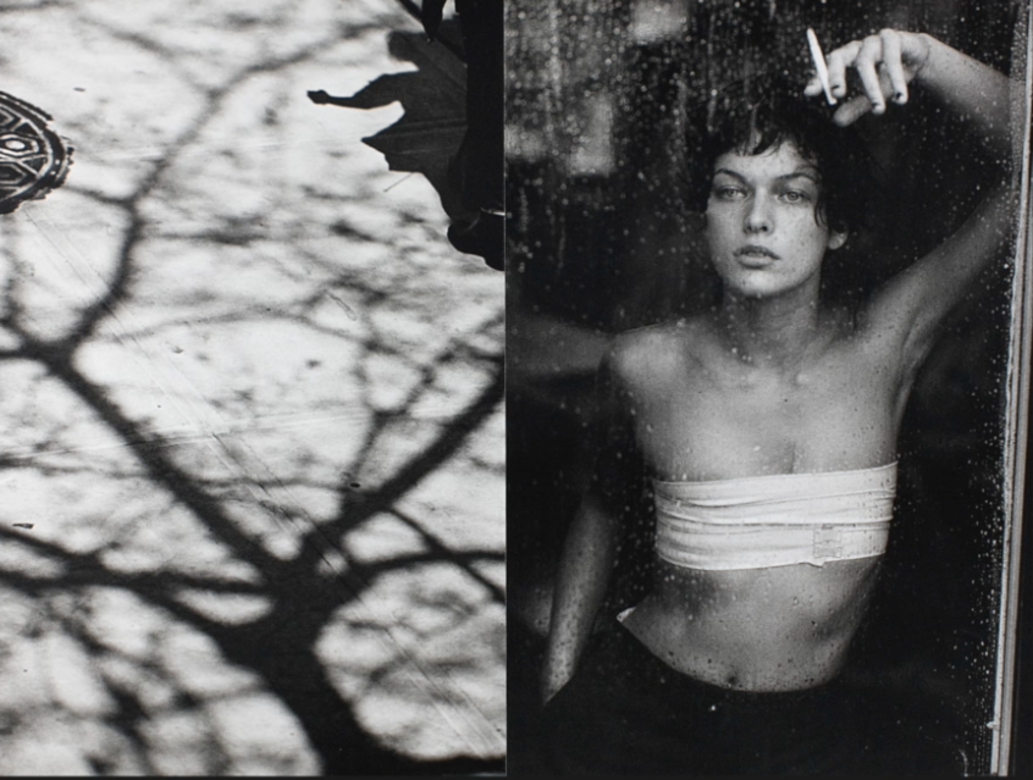 照片收錄在出版於1997年的《IMAGES OF WOMEN》攝影集。