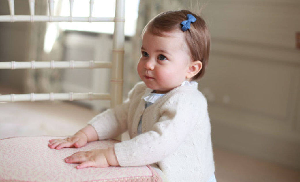 這是夏洛特公主一歲生日時所公佈的照片。她戴着小巧的藍色蝴蝶髮夾