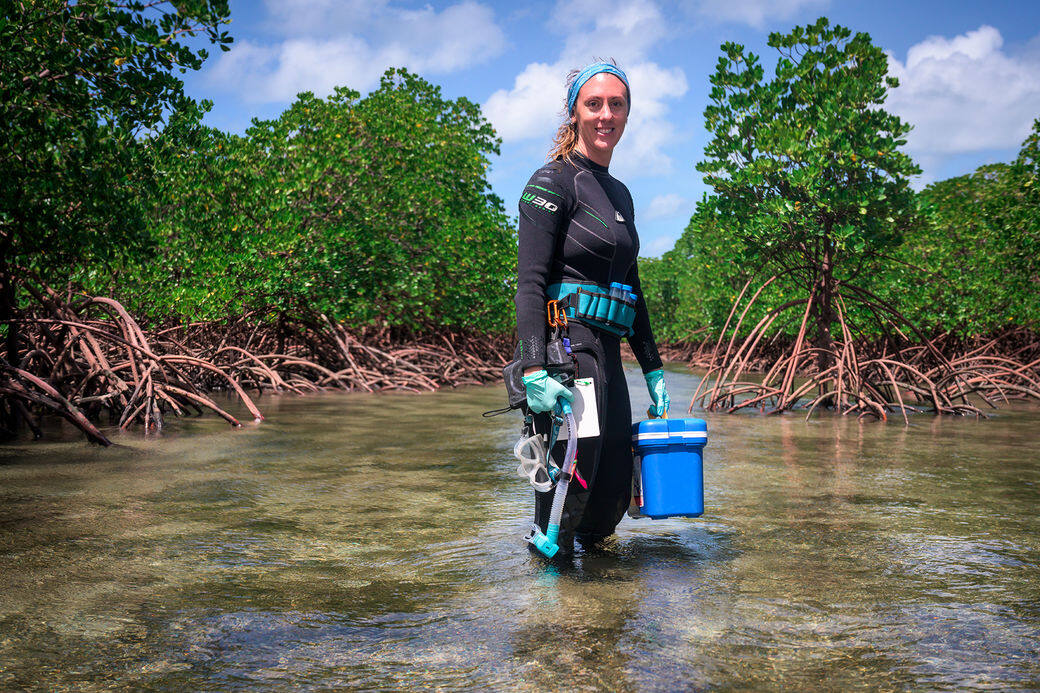 致力於珊瑚礁保護的英國生物學家Emma Camp是2016年勞力士雄才偉略大獎聯