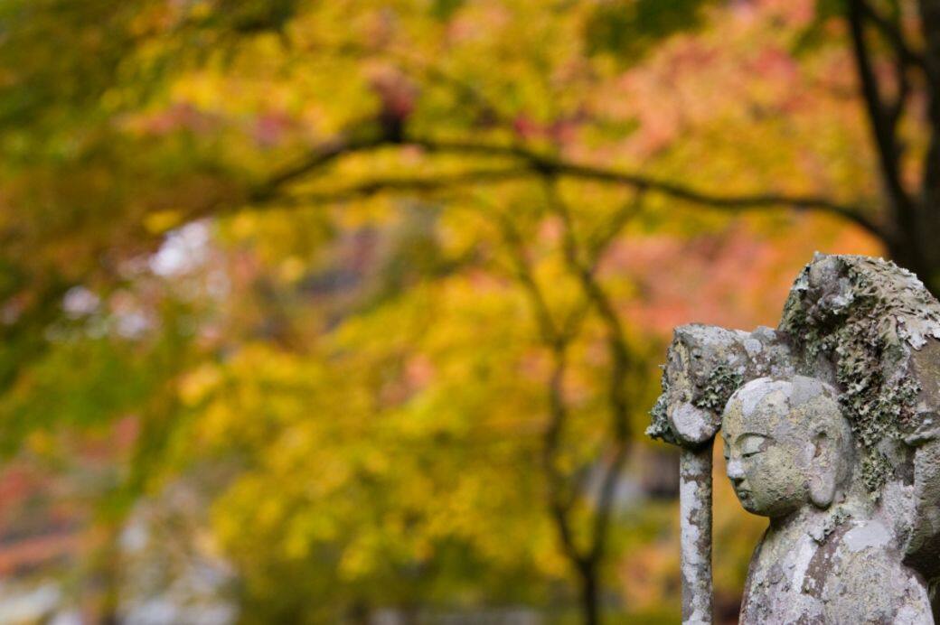 京都自由行2018, 賞紅葉穿搭 京都自由行2018, 賞紅葉穿搭