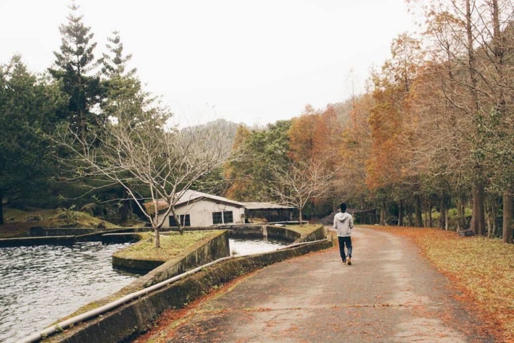台北自由行2018,賞紅葉穿搭 台北自由行2018,賞紅葉穿搭