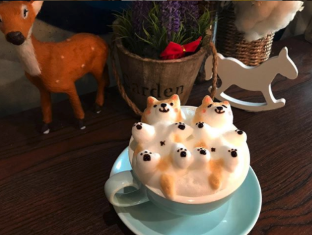 寵物友善餐廳 cafe pet friendly 寵物友善餐廳 cafe pet friendly