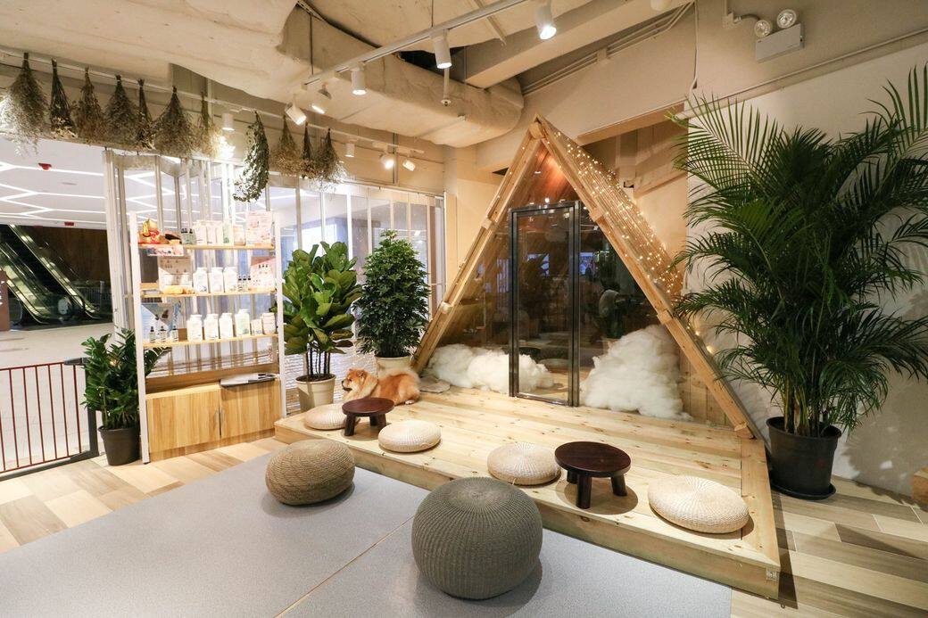 Chill Inn 寵物友善餐廳 cafe pet friendly Chill Inn 寵物友善餐廳 cafe pet friendly