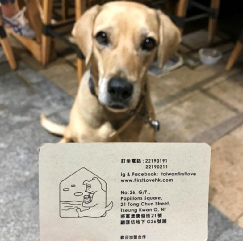 戀上台式料理 寵物友善餐廳 cafe pet friendly 戀上台式料理 寵物友善餐廳 cafe pet friendly