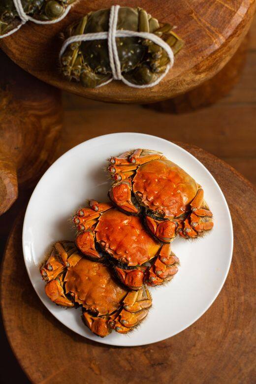 大閘蟹 蟹粉 蟹肉 蟹宴 crab 大閘蟹 蟹粉 蟹肉 蟹宴 crab