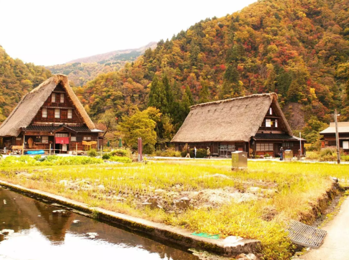 白川鄉合掌村、飛驒高山老街一日遊 白川鄉合掌村、飛驒高山老街一日遊