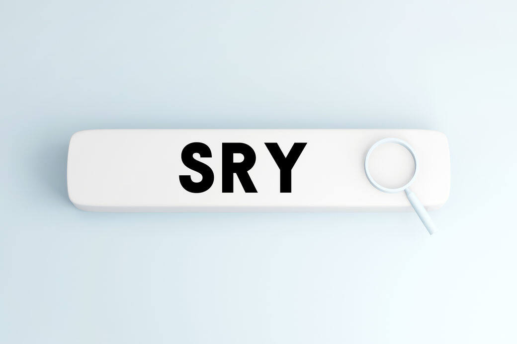看到SRY就應該猜到是「sorry」,源自網絡遊戲,打得太差的話就會和隊友說SRY。例 看到SRY就應該猜到是「sorry」,源自網絡遊戲,打得太差的話就會和隊友說SRY。例