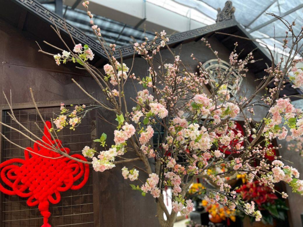 Biophilia新年墟市 農曆新年 情人節 2021 好去處 打卡 商場 佈置 裝飾 香港 Biophilia新年墟市 農曆新年 情人節 2021 好去處 打卡 商場 佈置 裝飾 香港