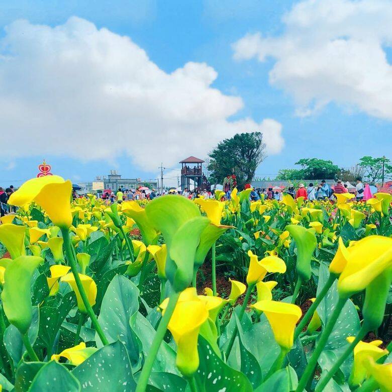 台灣桃園 台灣桃園