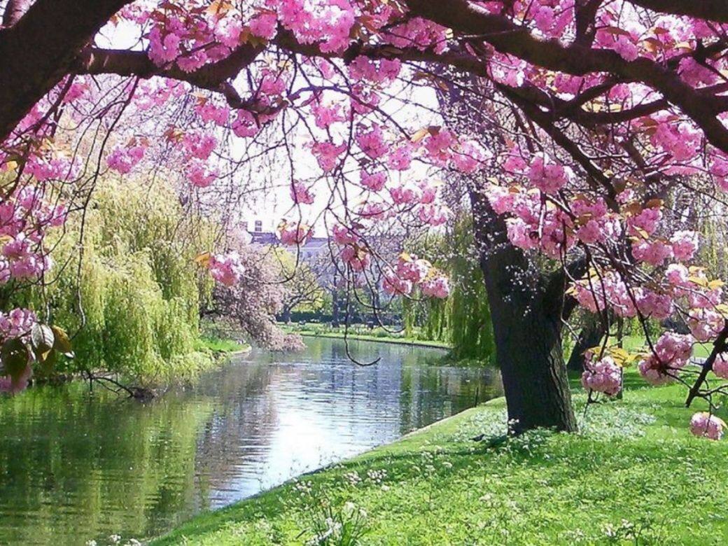 而Regent’s Park(攝政公園)則位於市中心,交通便利,距離地鐵站只雖大約5分鐘 而Regent’s Park(攝政公園)則位於市中心,交通便利,距離地鐵站只雖大約5分鐘