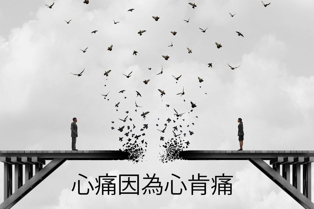 花不痛 花不痛