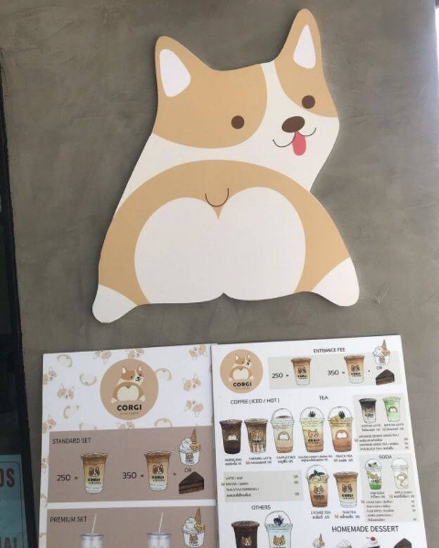 哥基 狗 可愛 Corgi cafe cute Corgi In The Garden 哥基 狗 可愛 Corgi cafe cute Corgi In The Garden