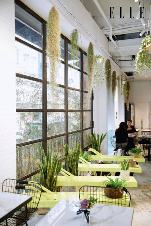 cafe coffe 餐廳 上環 家品 打卡 Hapi 好去處 寵物友善 cafe coffe 餐廳 上環 家品 打卡 Hapi 好去處 寵物友善
