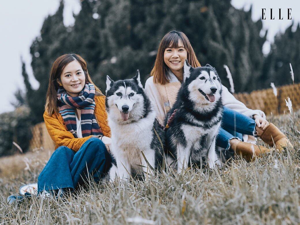【小城大愛】愛心空姐為動物貼地付出:Connie Wong與Roseann Yip 【小城大愛】愛心空姐為動物貼地付出:Connie Wong與Roseann Yip