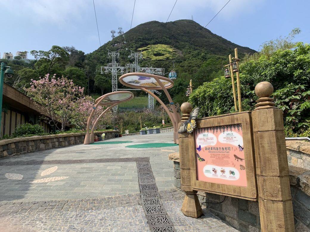 除了欣賞以鮮花和蝴蝶為主題的「蝶舞花旅」之外,訪客更可到花藝展覽附 除了欣賞以鮮花和蝴蝶為主題的「蝶舞花旅」之外,訪客更可到花藝展覽附