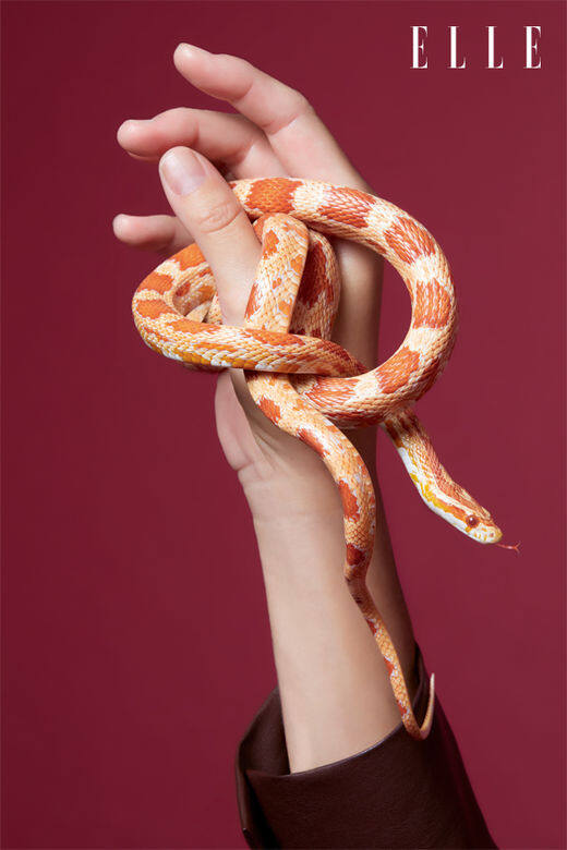 ELLE:飼養時有沒有地方要留意?N:因為安子是在公司飼養的,而公司定期都 ELLE:飼養時有沒有地方要留意?N:因為安子是在公司飼養的,而公司定期都