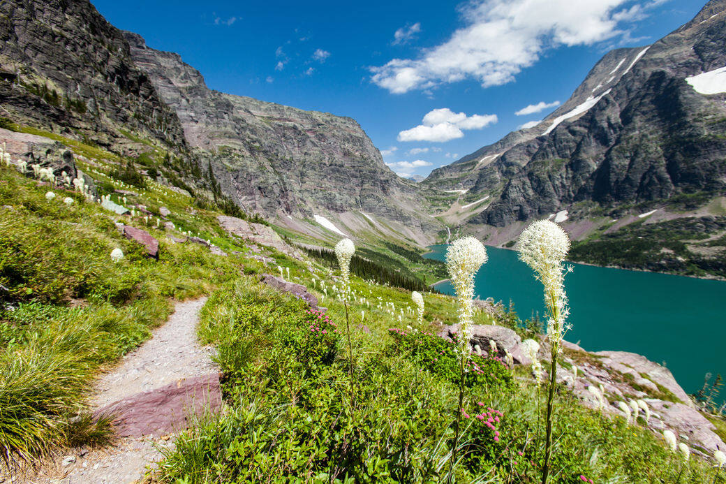 Glacier National Park 冰河國家公園 Google earth Glacier National Park 冰河國家公園 Google earth