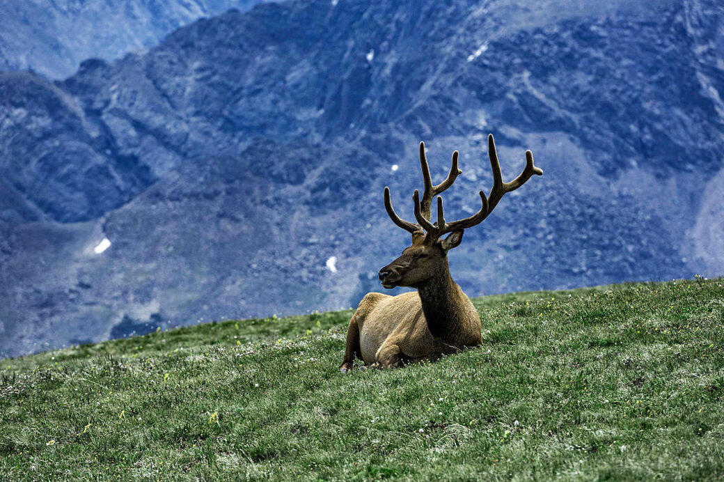 Rocky Mountain National Park Google earth 洛磯山脈國家公園 Rocky Mountain National Park Google earth 洛磯山脈國家公園