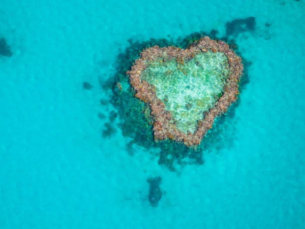 心形珊瑚礁 (Heart Reef) 旅行 旅遊 心形 景點 浪漫 打卡 heart shaped places travel love romance Hamilton 澳洲 昆士蘭 心形珊瑚礁 (Heart Reef) 旅行 旅遊 心形 景點 浪漫 打卡 heart shaped places travel love romance Hamilton 澳洲 昆士蘭