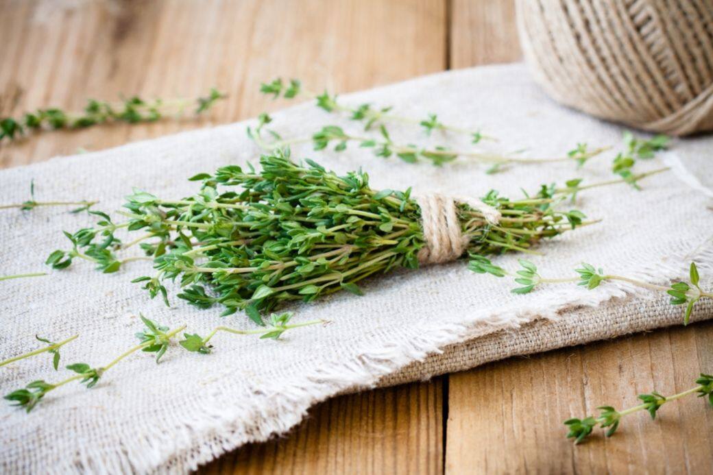 百里香 (Thyme) 百里香 (Thyme)