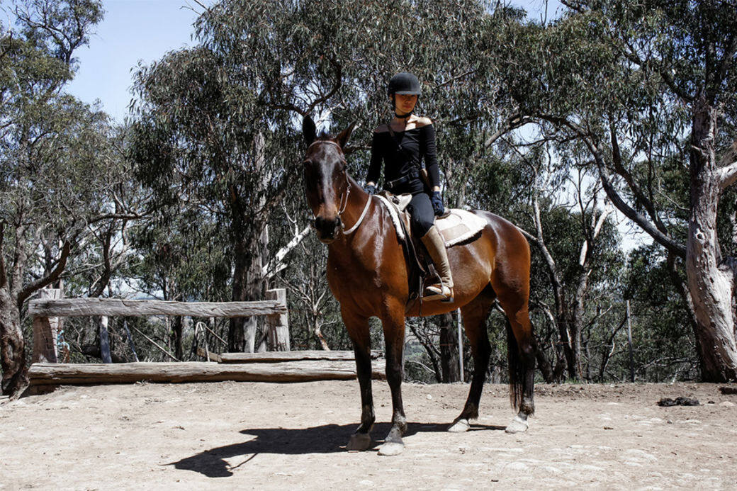 澳洲墨爾本自遊行！騎馬去看自然風景和野生動物