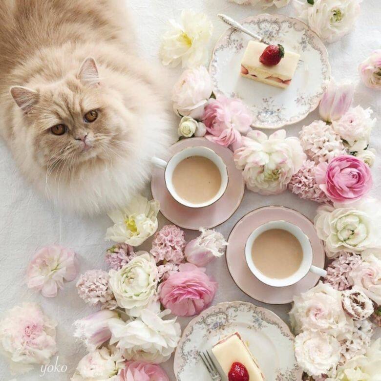 IG instagram photo art FlatLay 相片 IG instagram photo art FlatLay 相片