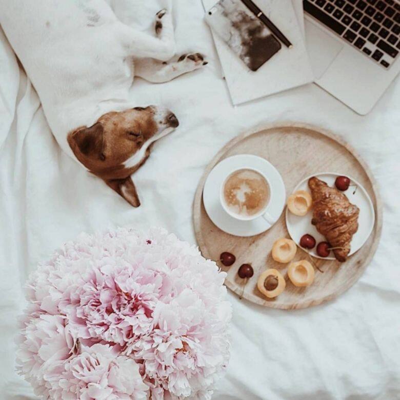 IG instagram photo art Flat Lay 相片 IG instagram photo art Flat Lay 相片