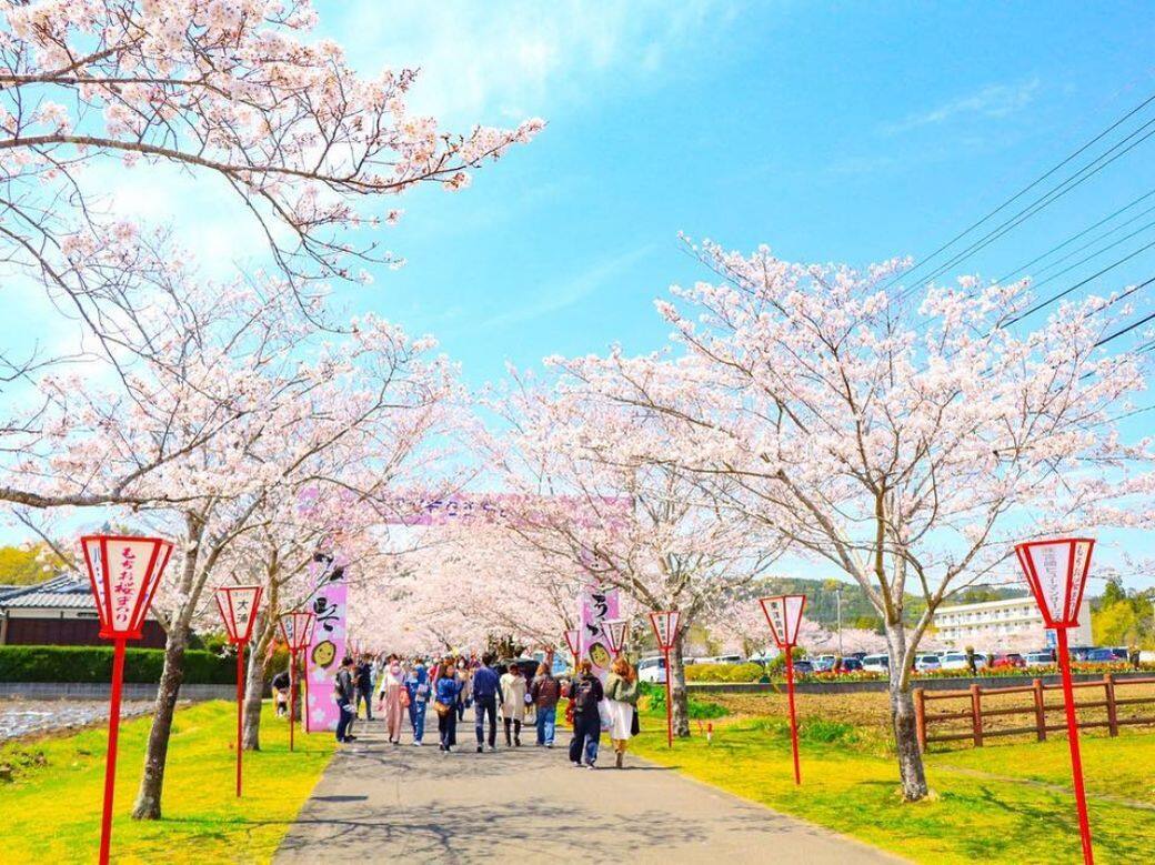 日本九州櫻花攻略2020!福岡舞鶴公園、佐賀御船山樂園等8個推介景點 日本九州櫻花攻略2020!福岡舞鶴公園、佐賀御船山樂園等8個推介景點