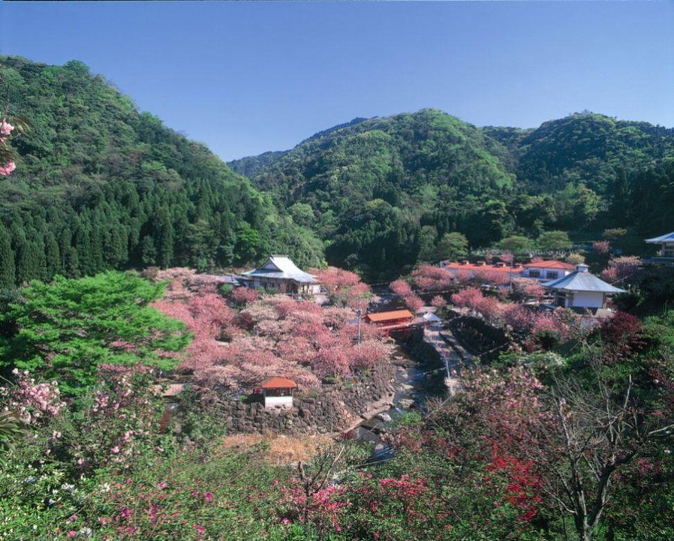 全名「不動尊一心寺」,座落於大分縣的群山之中 全名「不動尊一心寺」,座落於大分縣的群山之中
