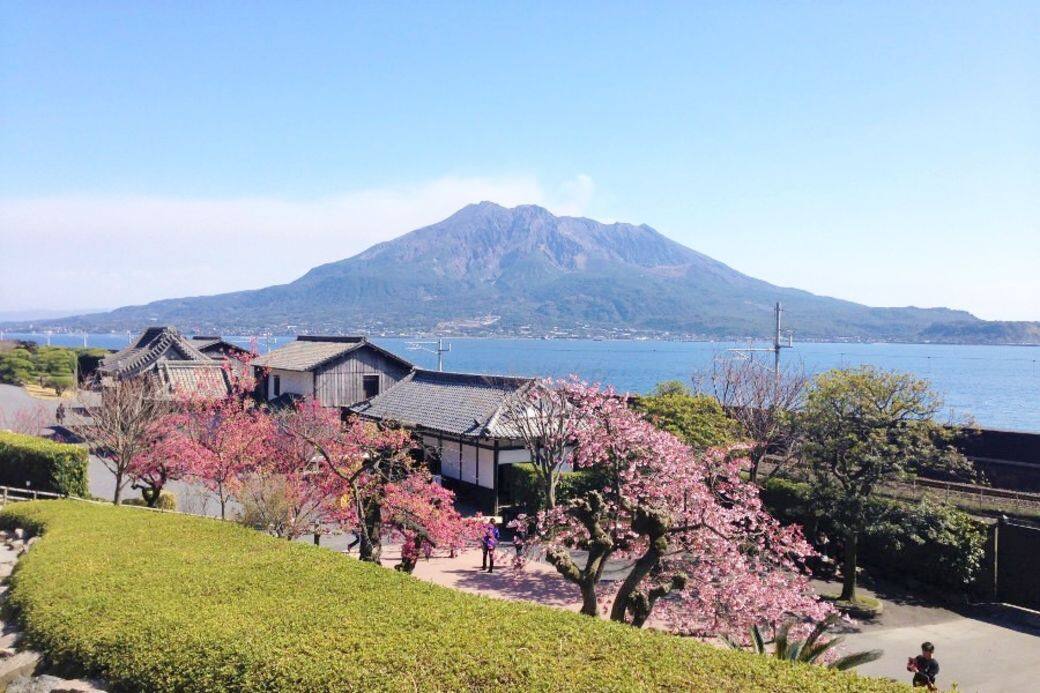 仙巖園有九州最美的日式庭園之美譽 仙巖園有九州最美的日式庭園之美譽