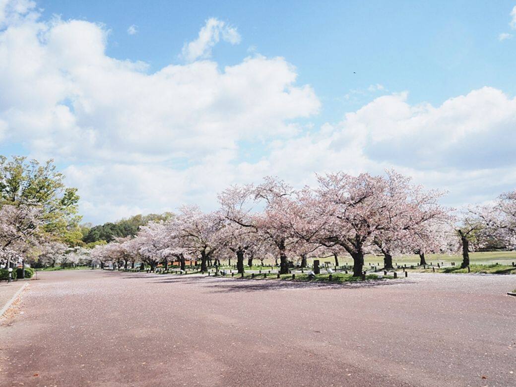 萬博紀念公園是日本舉行萬博展覽的舊址 萬博紀念公園是日本舉行萬博展覽的舊址